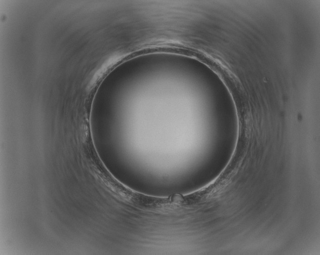 X0000073491363200608070946