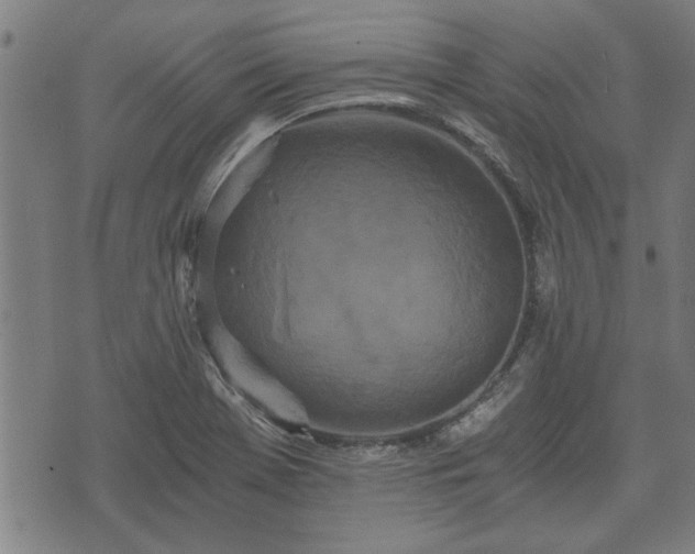 X0000073491369200608070946