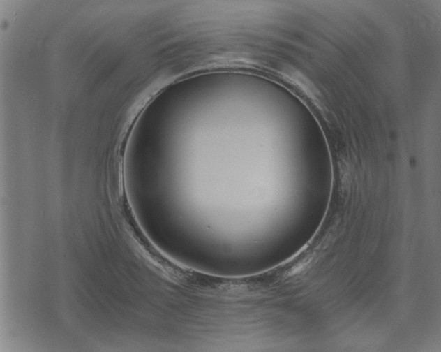 X0000073491371200608070946