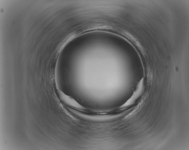 X0000073491377200608070946