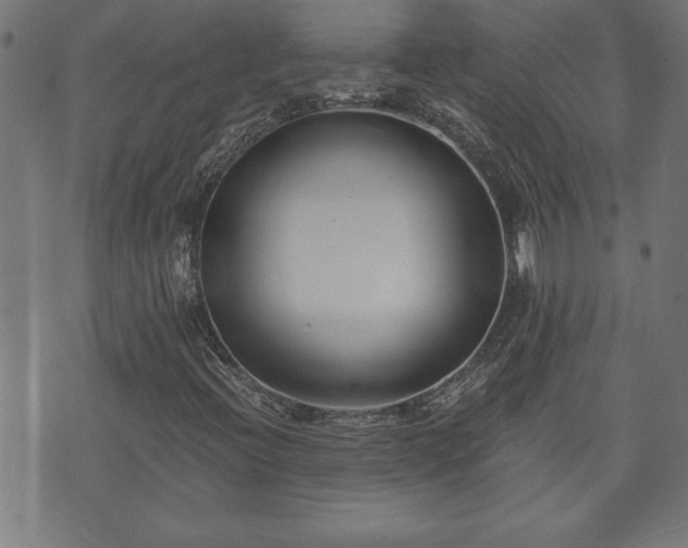 X0000073491396200608070945