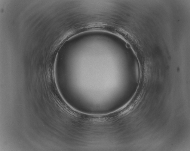 X0000073491401200608070945