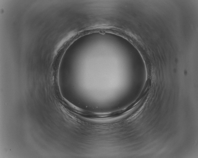 X0000073491406200608070945