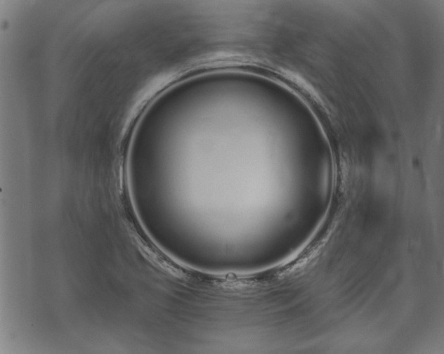 X0000073491413200608070945