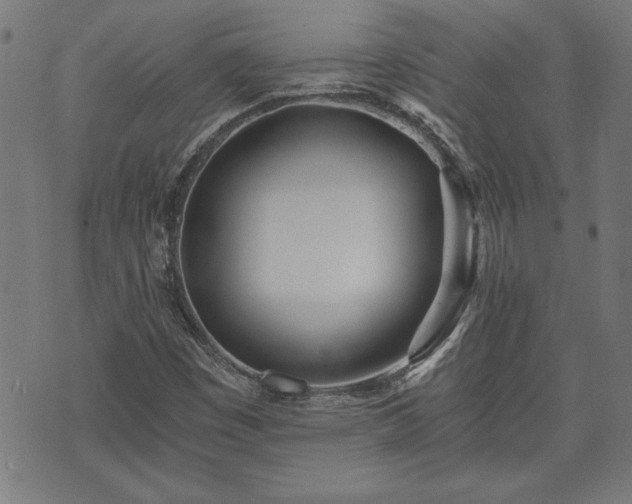 X0000073491449200608070945