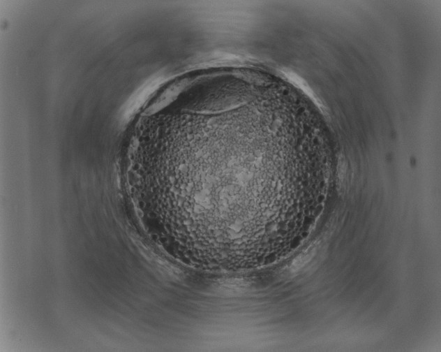 X0000073491455200608070945