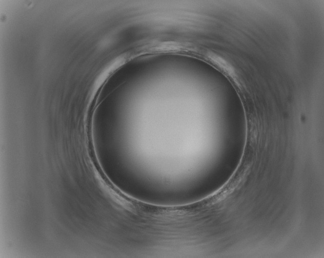 X0000073491475200608070945