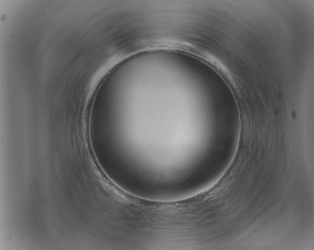 X0000073491480200608070944
