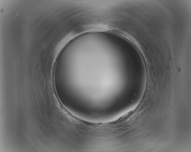 X0000073491488200608070944