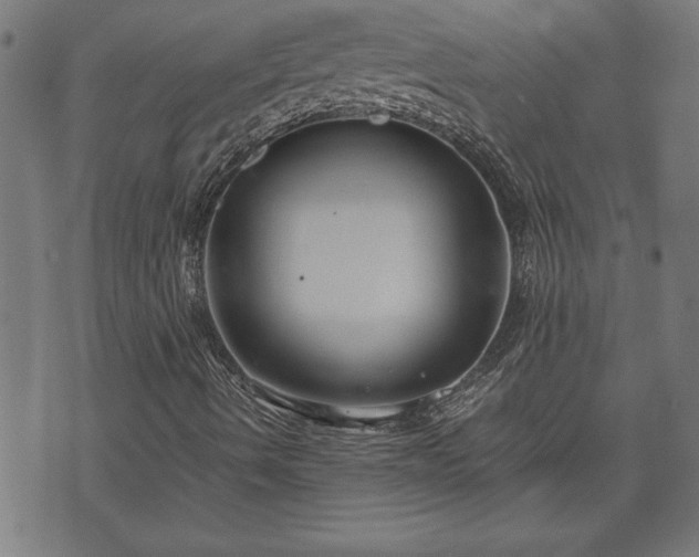 X0000073491490200608070944