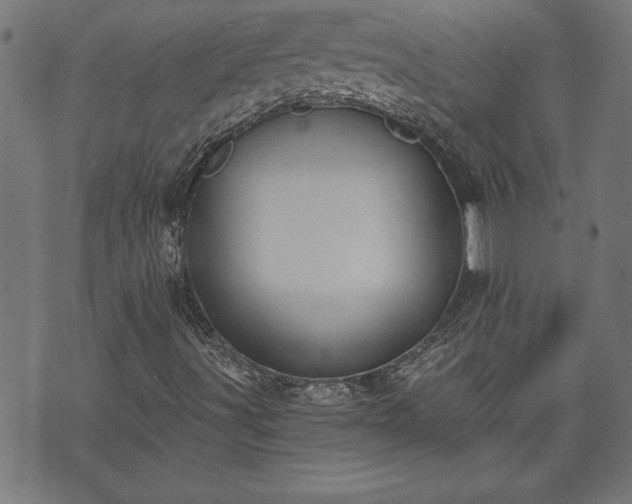 X0000073491491200608070944