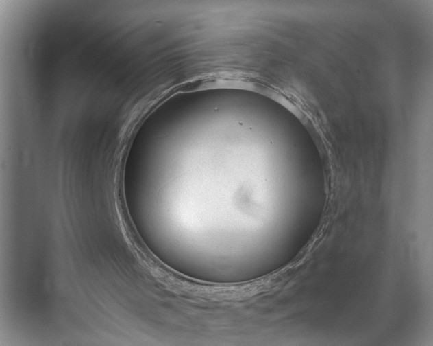 X0000073490001200608140854