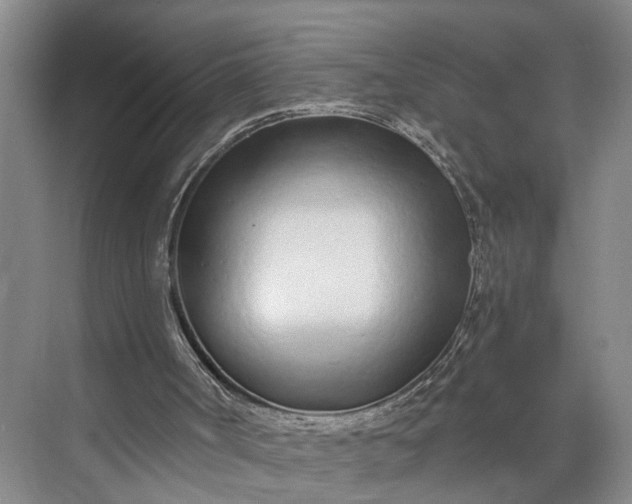 X0000073490002200608140854