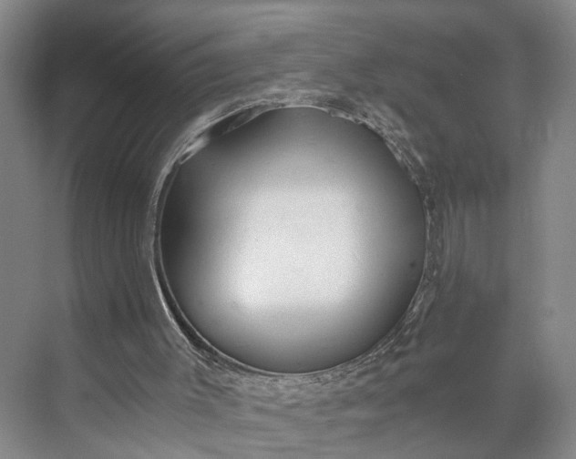 X0000073490003200608140854