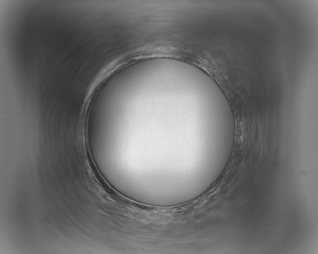 X0000073490004200608140854