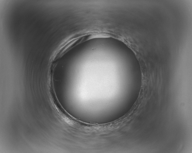 X0000073490005200608140854