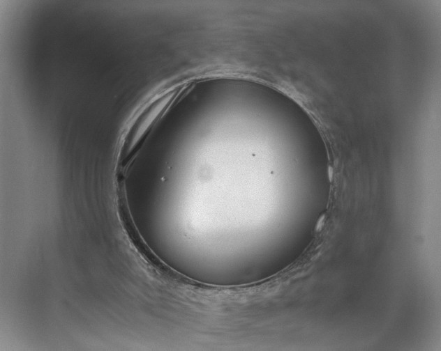 X0000073490007200608140854