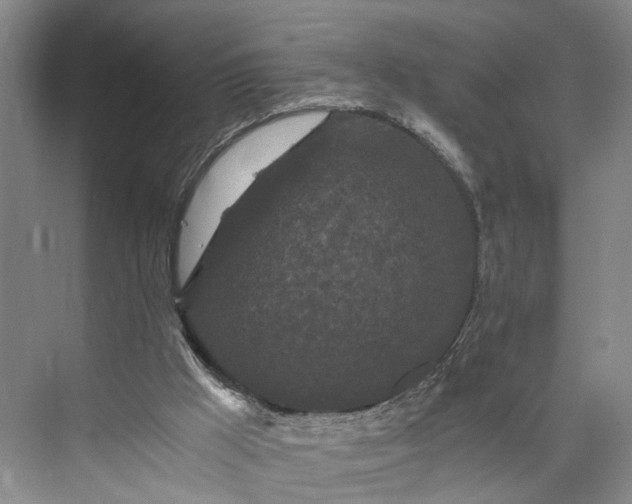 X0000073490009200608140854