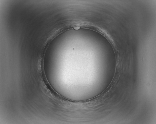 X0000073490010200608140854