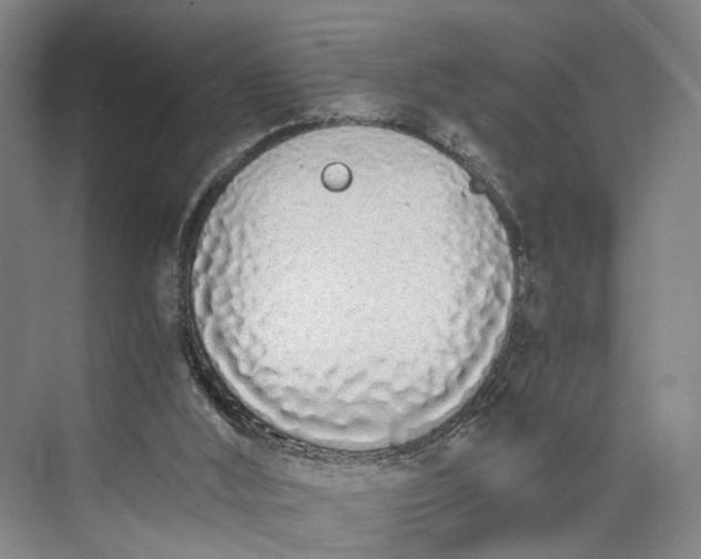 X0000073490012200608140854