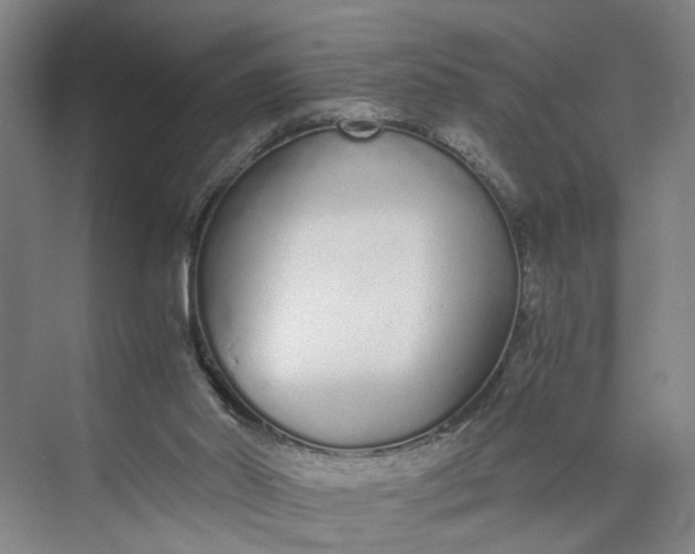 X0000073490014200608140854