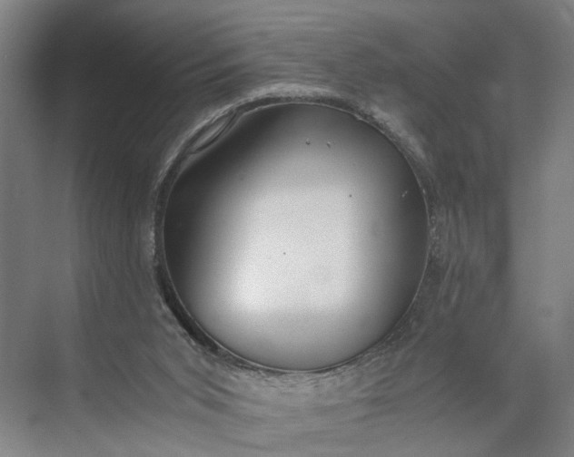 X0000073490015200608140854