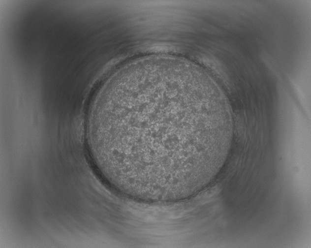 X0000073490016200608140854