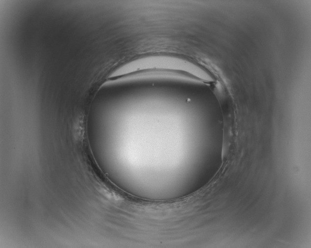 X0000073490017200608140854