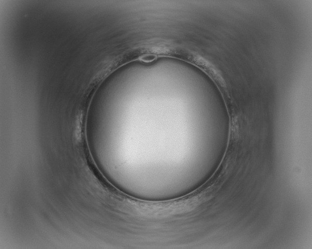 X0000073490018200608140854