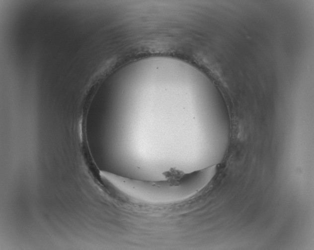 X0000073490019200608140854