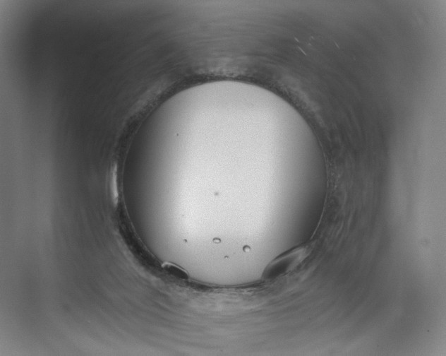 X0000073490020200608140854