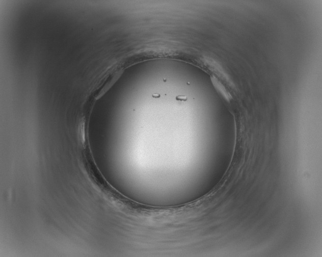 X0000073490021200608140854