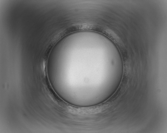 X0000073490022200608140854