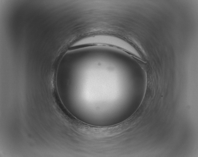 X0000073490023200608140854