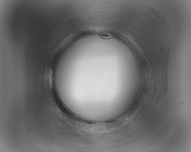 X0000073490024200608140854