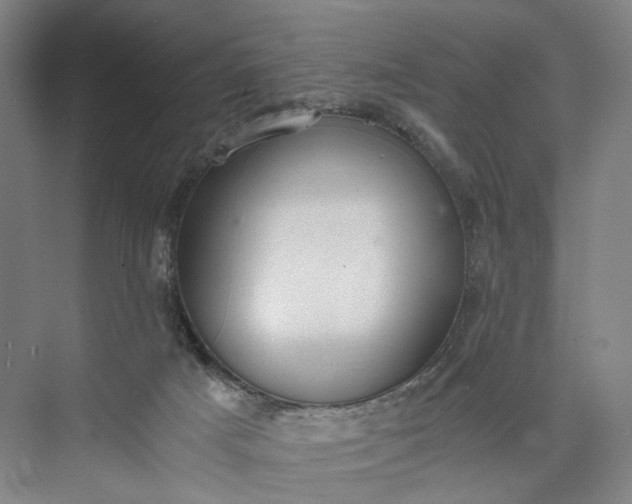 X0000073490025200608140854