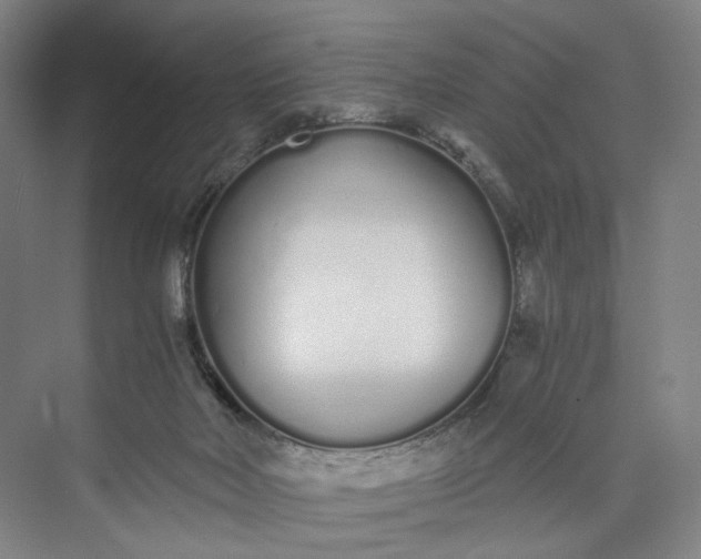 X0000073490026200608140854