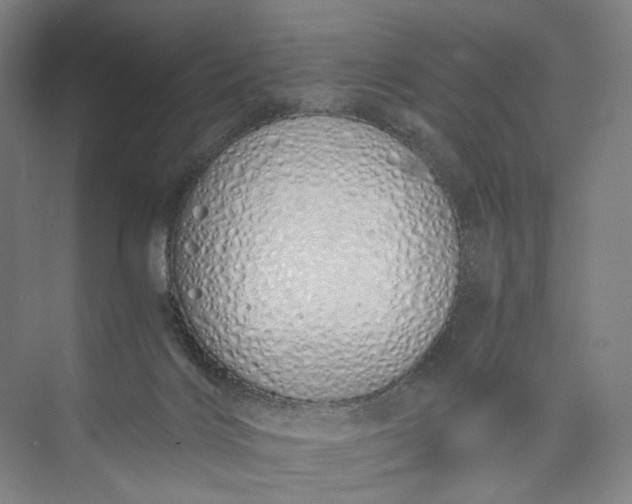 X0000073490028200608140854