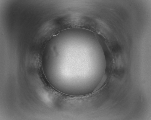 X0000073490029200608140854