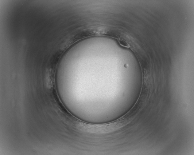 X0000073490030200608140854