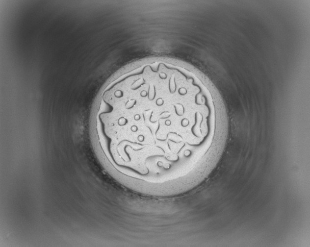 X0000073490032200608140854