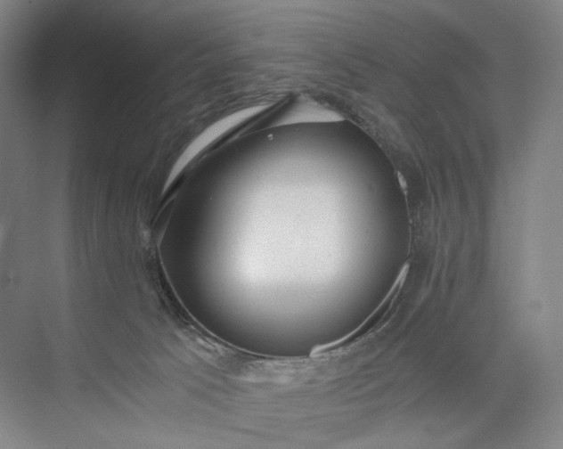 X0000073490033200608140854