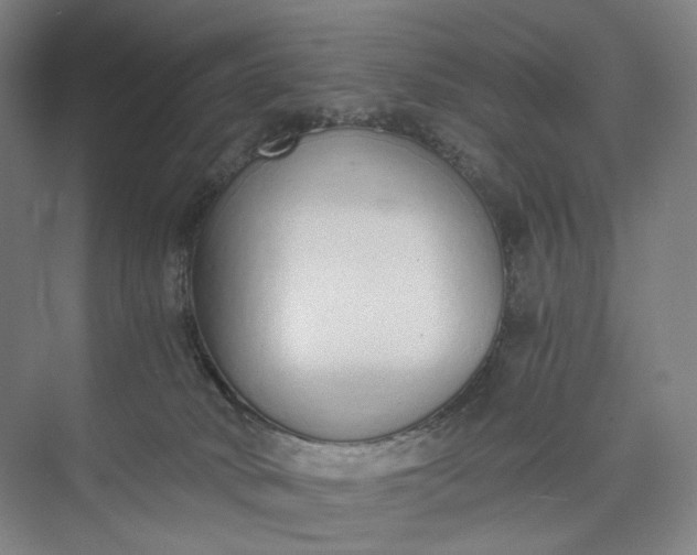 X0000073490034200608140854