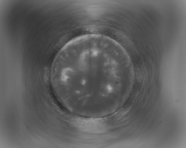 X0000073490036200608140853