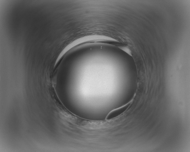 X0000073490037200608140853