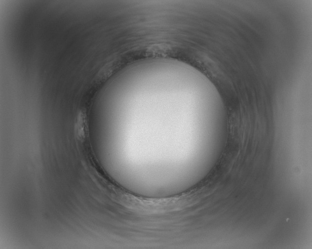 X0000073490038200608140853