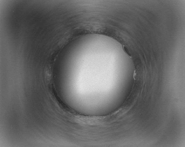 X0000073490040200608140853