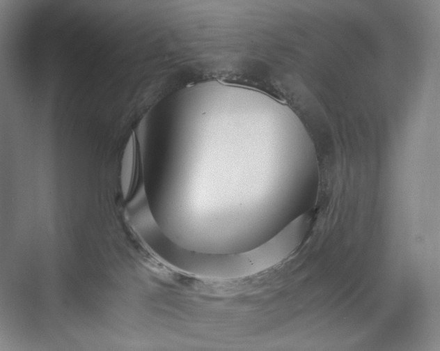 X0000073490041200608140853