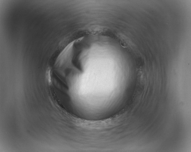 X0000073490042200608140853