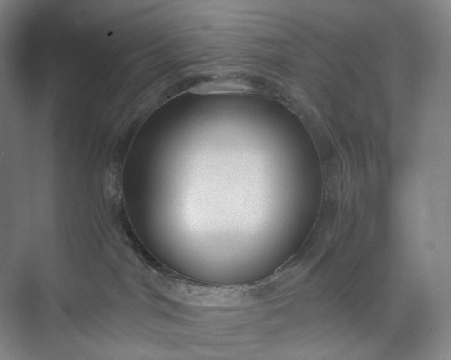 X0000073490044200608140853